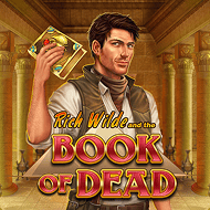 Wild Book of Dead