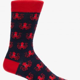 Blue & Red Socks Flowood