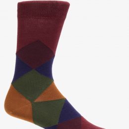 Multicolored Socks Daphne